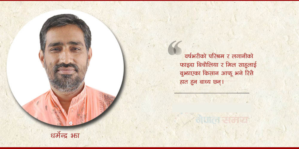 ‘गुलियो’ उखुको ‘तितोे’ अनुभव