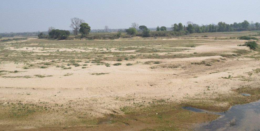 बाँझो जग्गामा चक्लाबन्दी खेती