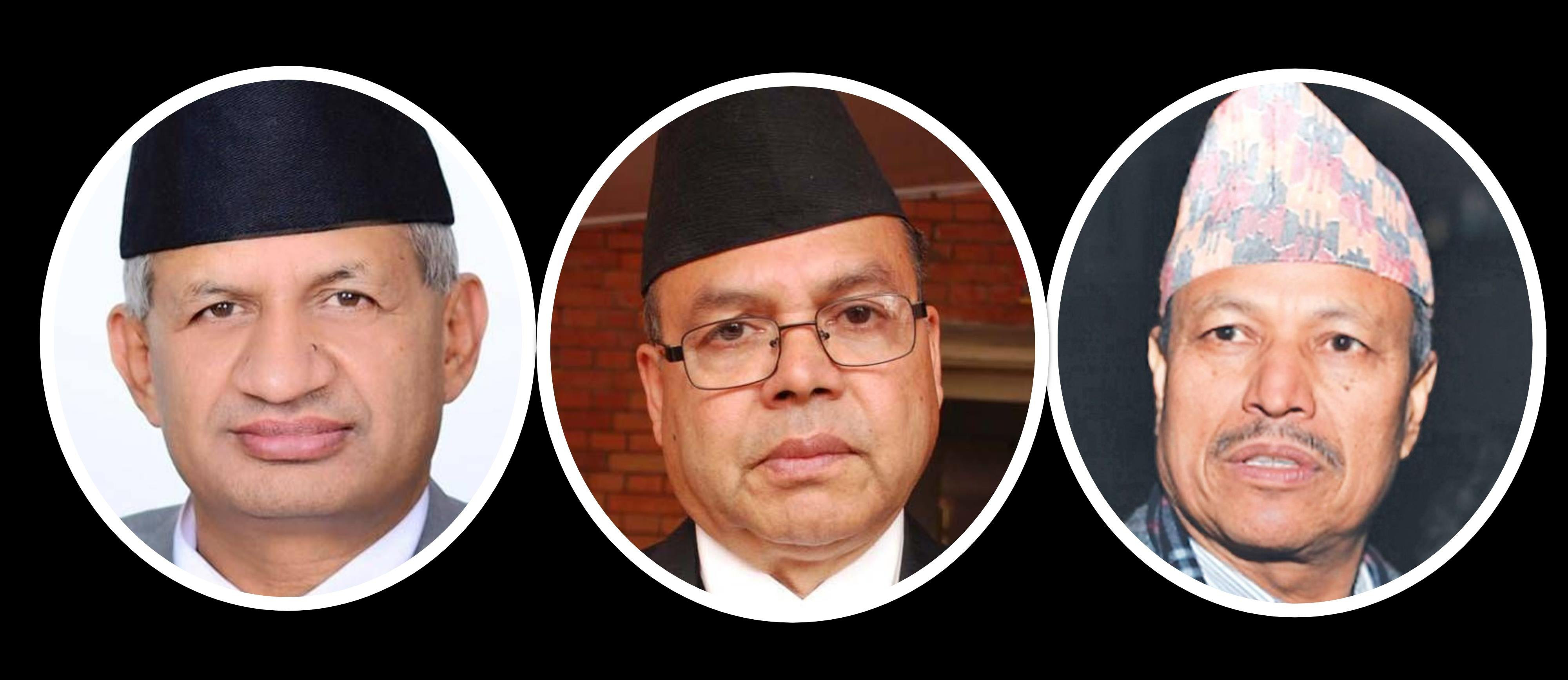 एमसीसी अध्ययन गर्न कार्यदल, भीम रावल पनि सदस्य