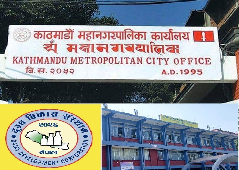 डीडीसी र खाद्य व्यवस्था तथा व्यापार कम्पनीमाथि कारबाही गर्न हच्कियो महानगर