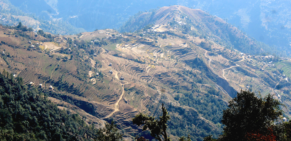 सिँचाइ सुविधा नहुँदा कर्णालीमा खाद्यान्नकै पिरलो, बाँझै छ ८२ हजार हेक्टर जमिन