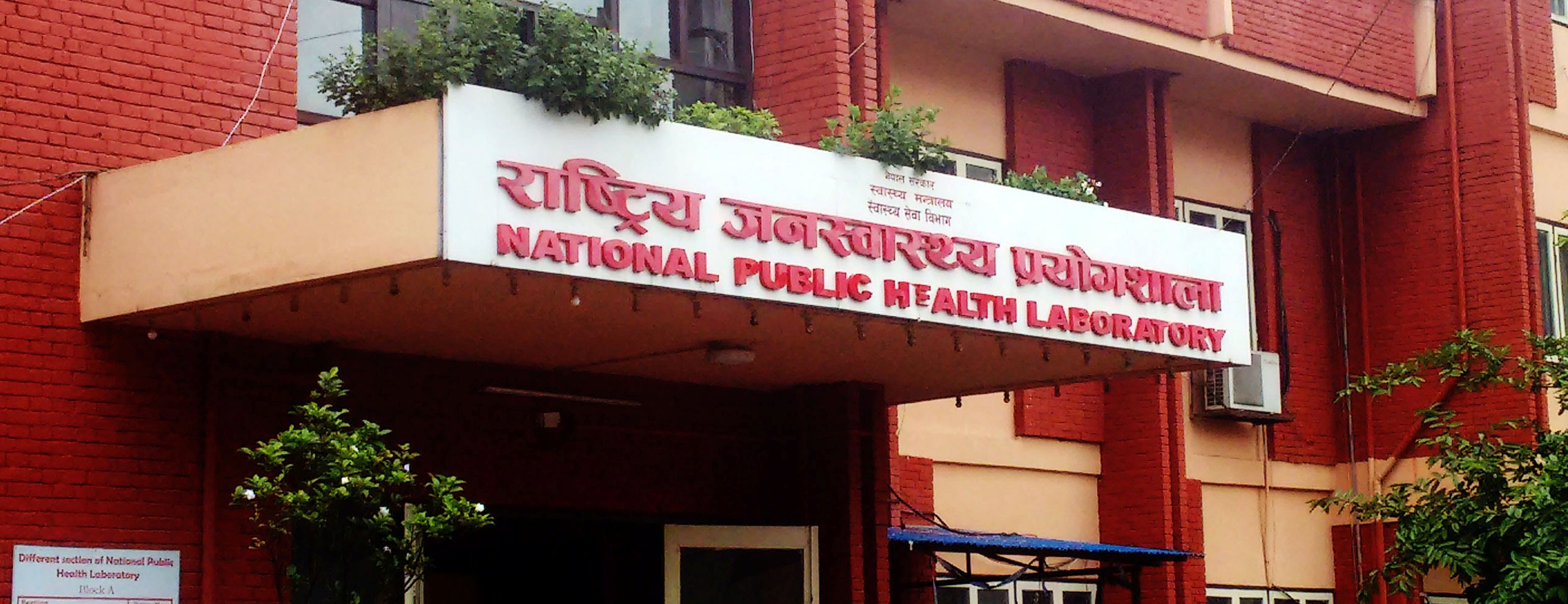 जिन सिक्वेन्सिङको ढिलाइले नयाँ भेरियन्टको कोरोना फैलिने चिन्ता
