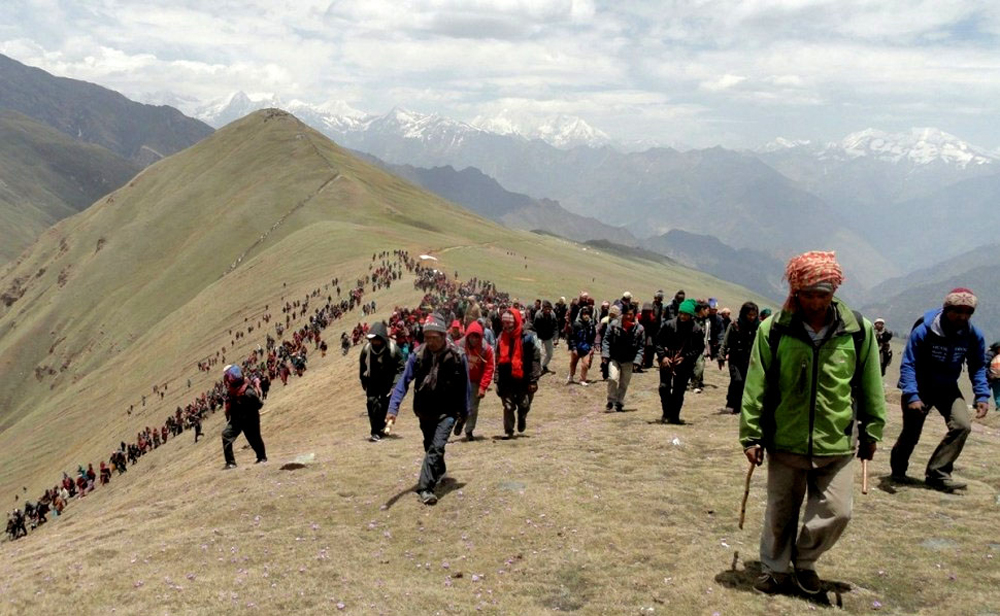 कोरोना असर : यो वर्ष पनि पाटनमै कुहिने भयाे हिमाली हीरा