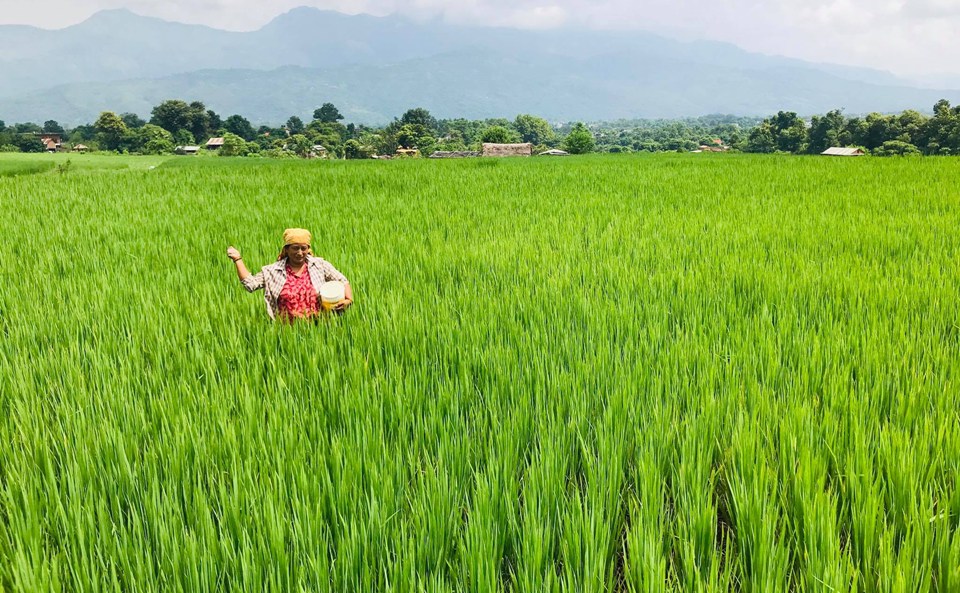घटाइएको कृषि बजेटमा पनि पाँच अर्ब फ्रिज