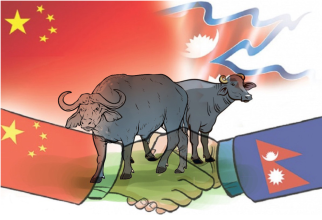 भैँसीको मासु प्रशोधन गर्ने उद्योगमा २० अर्ब रुपैयाँ बराबरको वैदेशिक लगानी स्वीकृत
