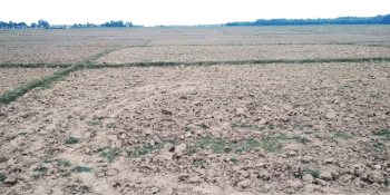 मधेसमा बढ्यो सुक्खा क्षेत्र, अध्ययनका लागि टोली परिचालन