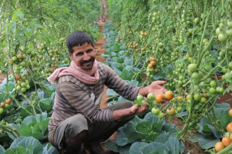 पाँच हजार किसानलाई ‘स्रोत किसान’का रूपमा विकास गरिने