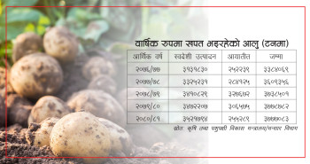 आलु उत्पादनमा आत्मनिर्भर बन्दै नेपाल, ११ महिनालाई पुग्ने आलु कहाँ हुन्छ खपत?