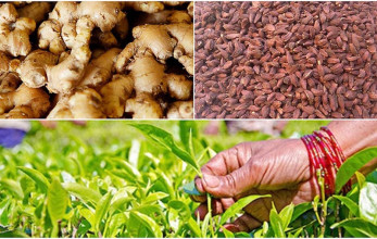 अढाई अर्बको चिया र सवा अर्बको अलैँची भारत निर्यात