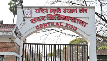 चिडियाखानाको आम्दानी १२ करोड ८५ लाख ६५ हजार