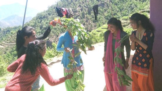 सिस्नुपानी छ्याप्ने चलन हराउँदैछ बिसु पर्वमा