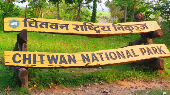 चितवन राष्ट्रिय निकुञ्जमा दुई गैंडा मृत भेटिए