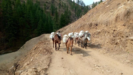 सामान ओसार्न खच्चडको भर