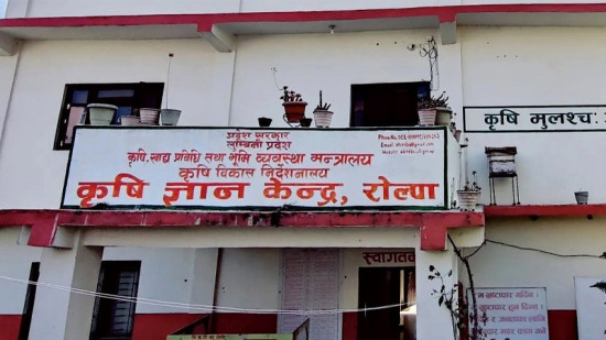 भुक्तानी नपाउँदा रोल्पाका कृषक आन्दोलित