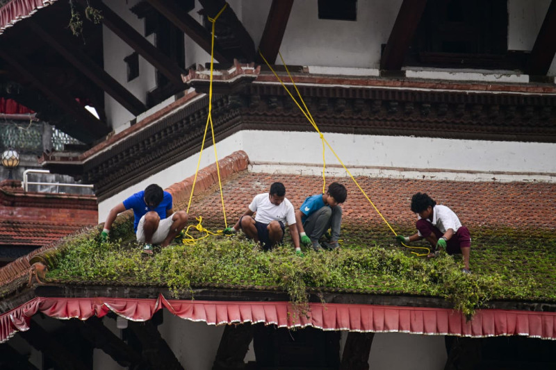 वसन्तपुरमा इन्द्रजात्राको तयारी: मन्दिरको झार हटाइँदै (तस्बिरहरू)