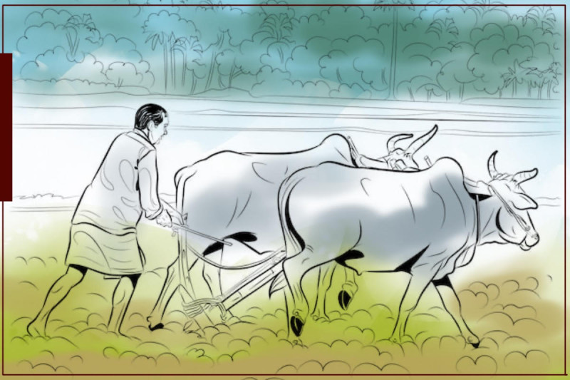 यी हुन् यो वर्षका १४ उत्कृष्ट कृषक, राष्ट्रपतिबाट २ लाख नगदसहित पुरस्कृत हुने