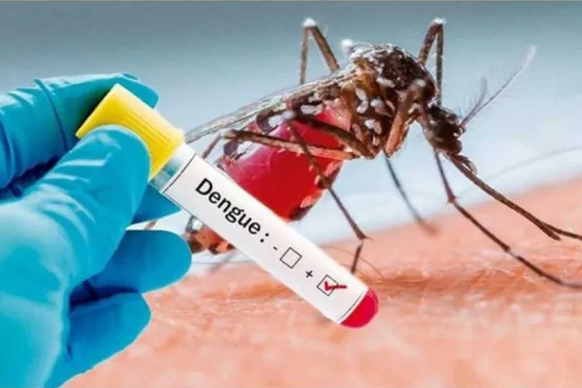 हेटौंडामा डेंगुका ६५ बिरामी भेटिए