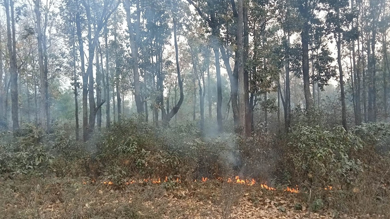 डढेलोको उच्च जोखिममा तनहुँ 