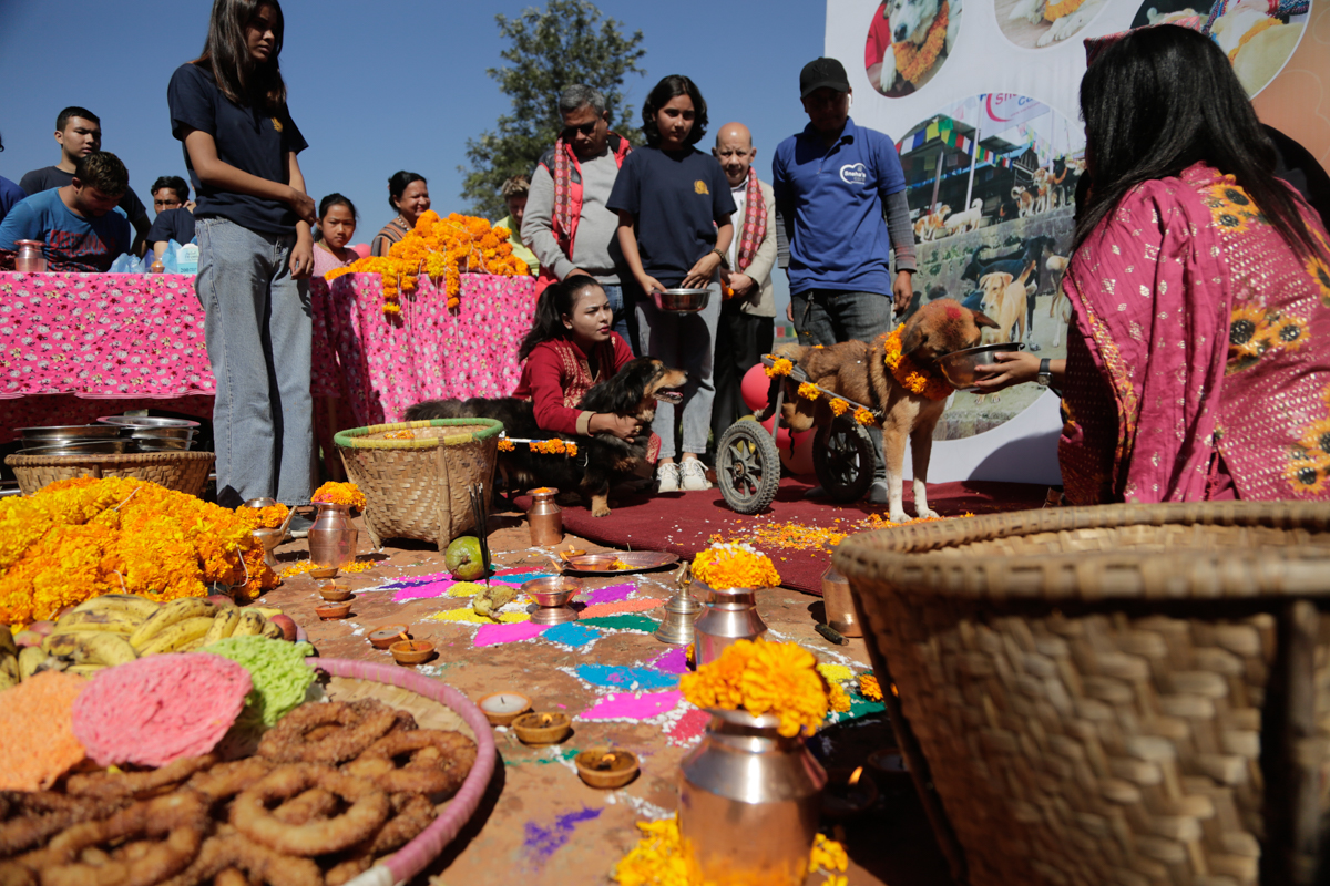 स्नेहामा ह्विलचेयर कुकुरको पूजा [९ तस्बिर]