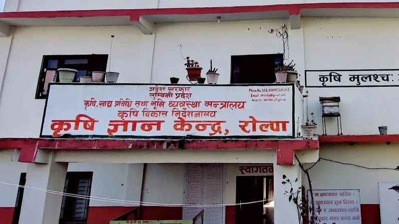 भुक्तानी नपाउँदा रोल्पाका कृषक आन्दोलित